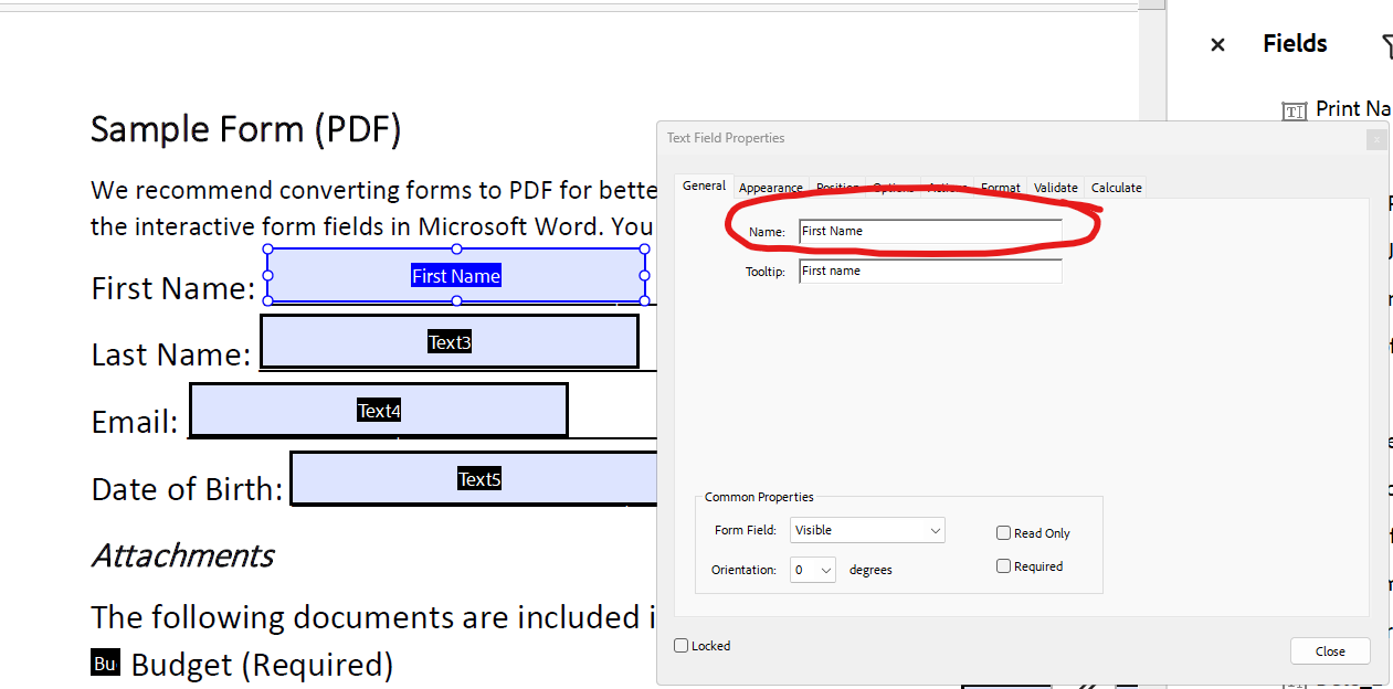 Screenshot of Form with Field Properties dialog open and the Name is circled.