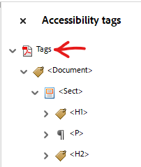 Screenshot of the Accessibility Tags Tree with arrow pointing at the Tags Tag (the first tag in the tree)