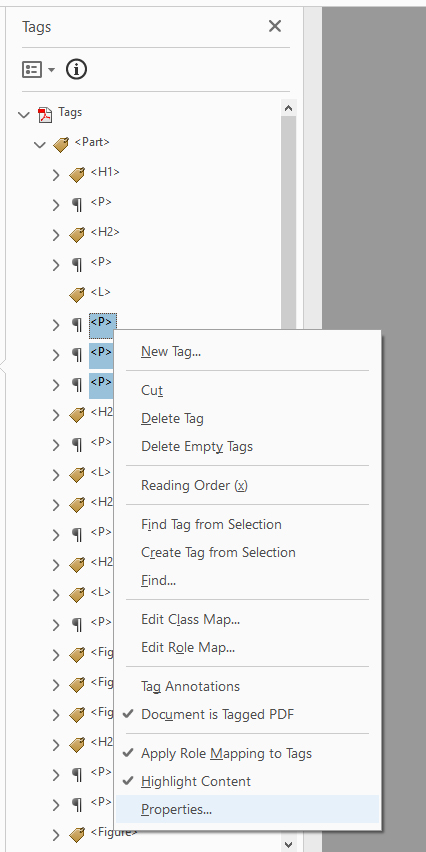 Tags Pane with multiple paragraph tags selected.
