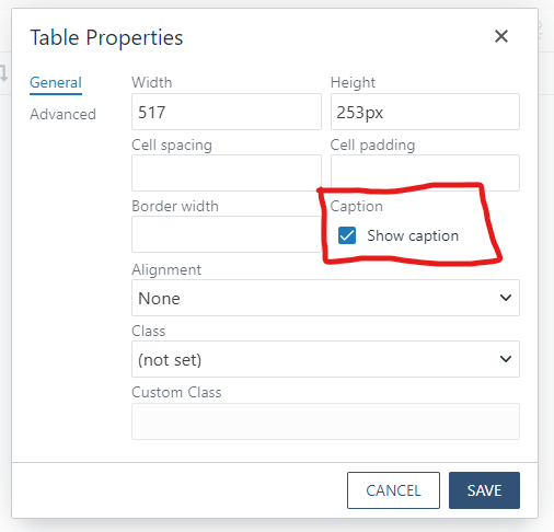 Screenshot of Table Properties dialog with Show Caption checkbox checked.