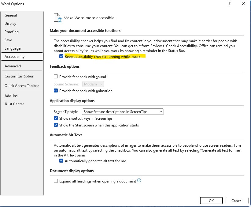 Screenshot of accessibility options with 