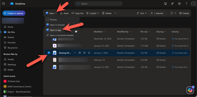 Screenshot of OneDrive Files