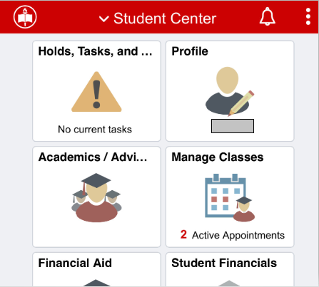 Screenshot of the Student Center page buttons.