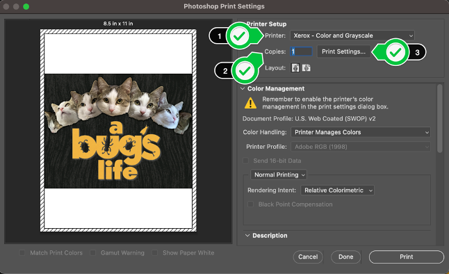 Photoshop Print Settings window
