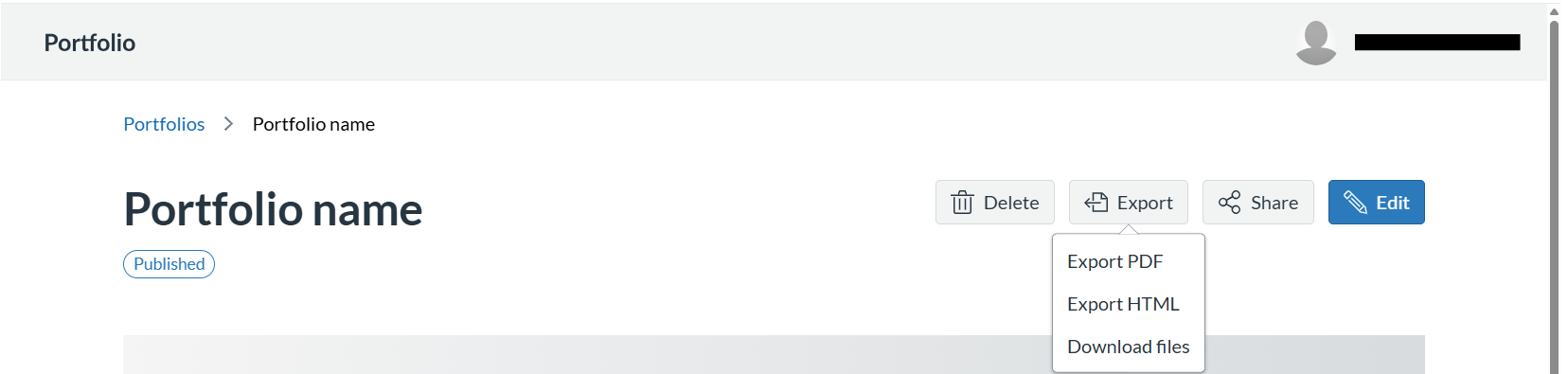 Screenshot of portfolio export options