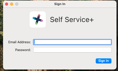 Screenshot of Self Service+ sign in prompt