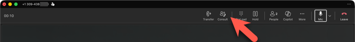 Screenshot of Consult button