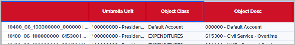 Account Number, Umbrella Unit, and Object Class