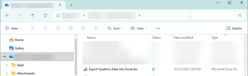 File Explorer window with