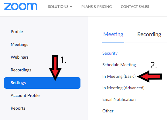 Settings - In Meeting option