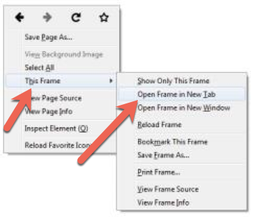 Screenshot depicting the right-click-menu and submenu options