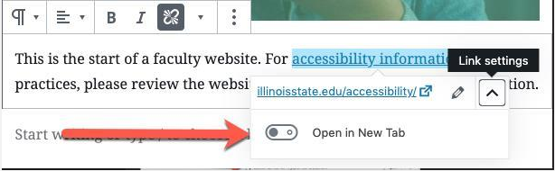 Screenshot depicting the Open in New Tab option in the Link Editor